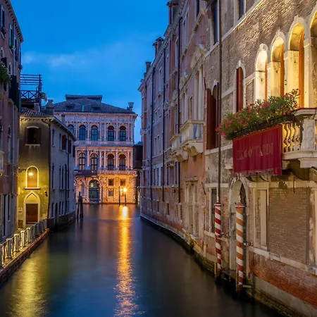 Daplace - Sardela Venice